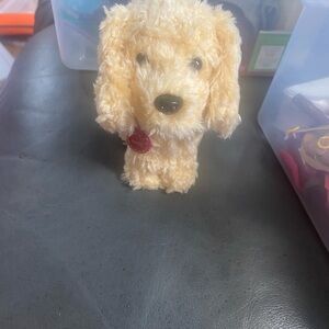 American girl honey dog